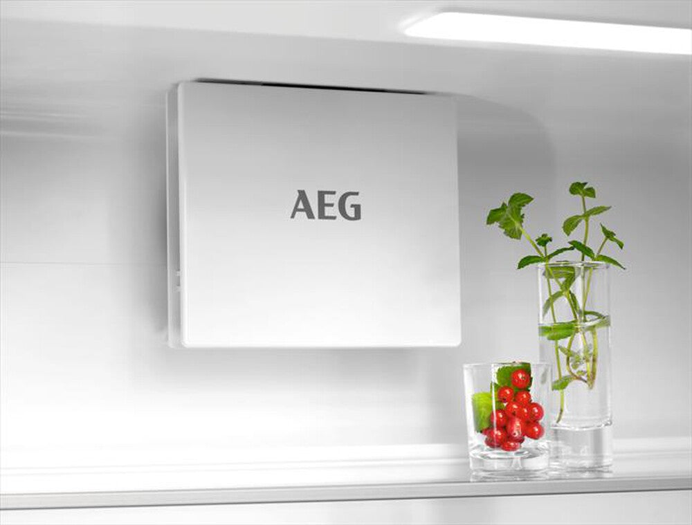 AEG - Frigorifero combinato TSC7G181ES Classe E 256 lt